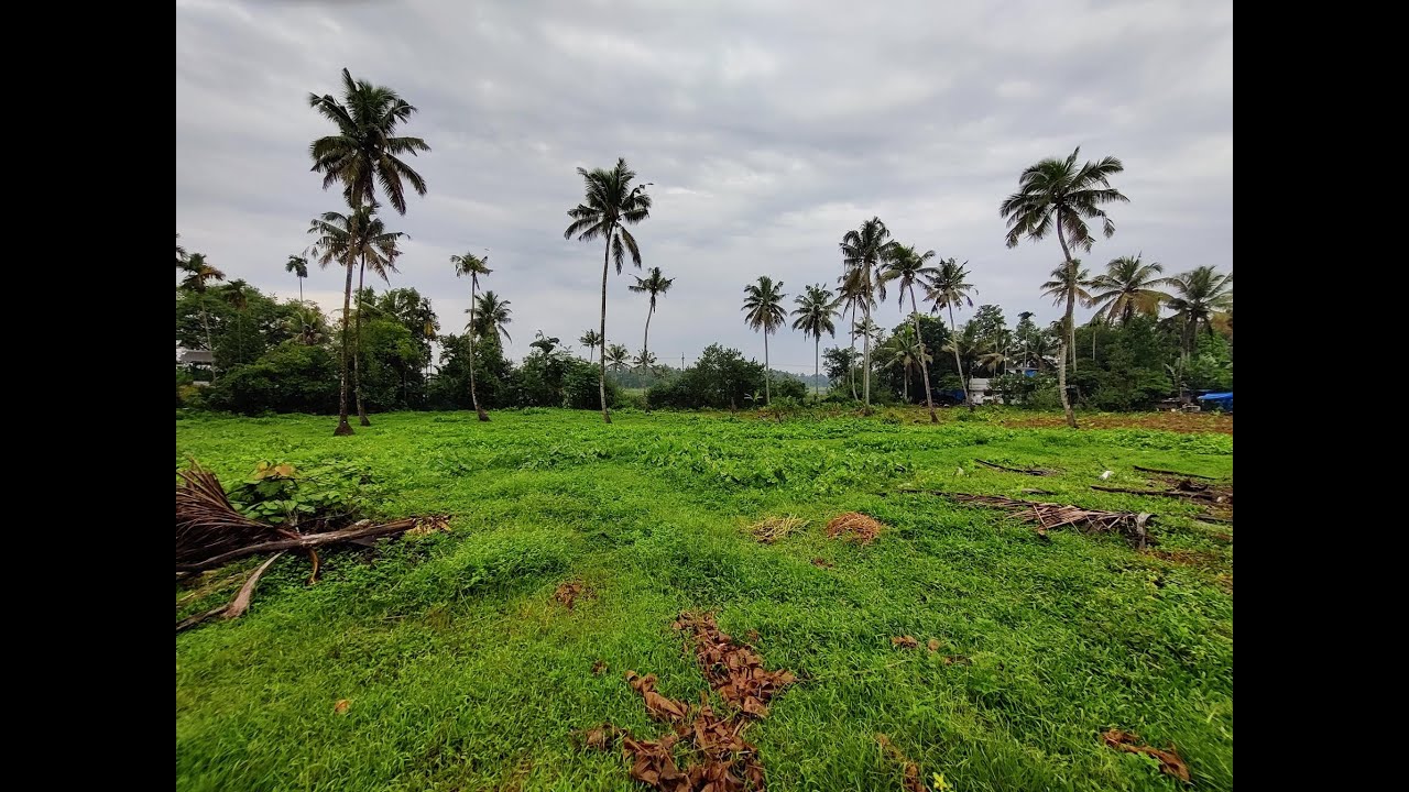 Land for Sale near Cochin Airport l 1.80 acr YouTube