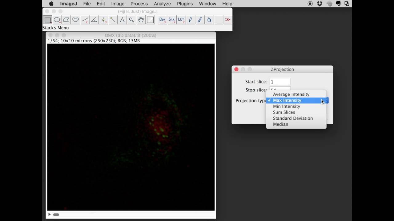 Fiji Z Projection Of 3d Data