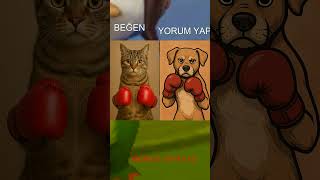 Kedi Ve Köpek Yarışıyor Sende Yardım Et