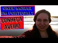 Onde morar em Portugal? Conheça Aveiro