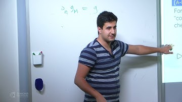 Completely Log-Concave Polynomials and Distributions, Part I - B