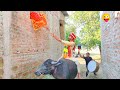 Must watch new funny comedy  fully entertainment 2021  bindas fun masti