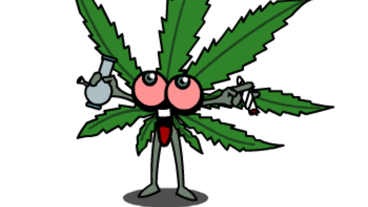 Hippy Hills 28