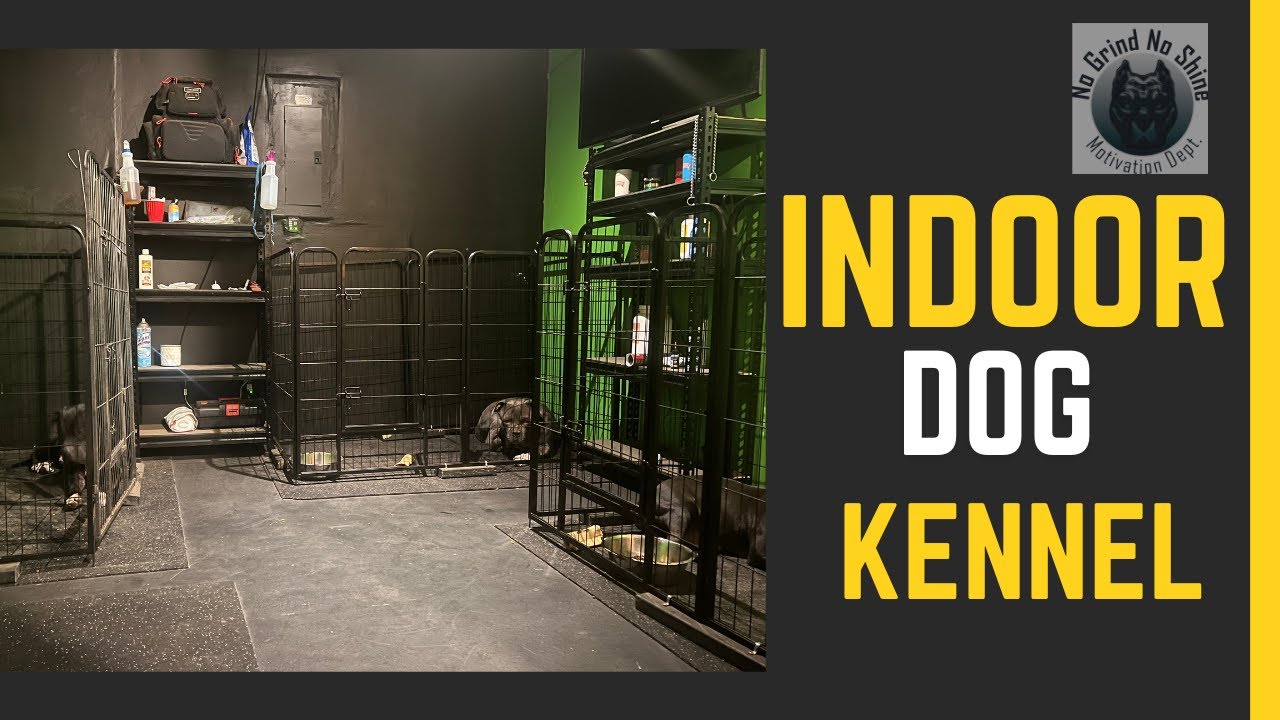 Indoor Kennel Setup pt 1 of 2 YouTube