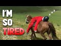 Avoiding Burnout as an Equestrian: My Honest Vlog & Tips! 🐴🔥 Week 5