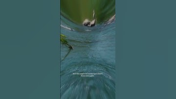 تلاوة هادئة بصوت الشيخ.(سعد الغامدي)