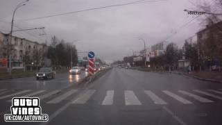 Auto Vines 192