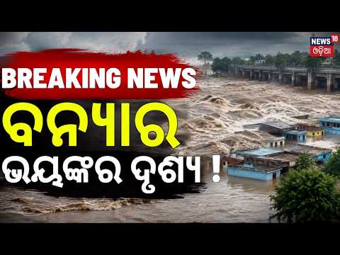 ବନ୍ୟାର ଭୟଙ୍କର ଦୃଶ୍ୟ ! Salepur Chitrotpala River Erosion Cuttack | Cuttack Flood News | Odia News