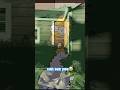 MY BEST FRIEND TRYS TO HIDE IN A BUSH #roblox #funny