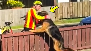Mailman Approaches German Shepherd, Then The Owner Secretly Records Him Doing THIS To The Dog!