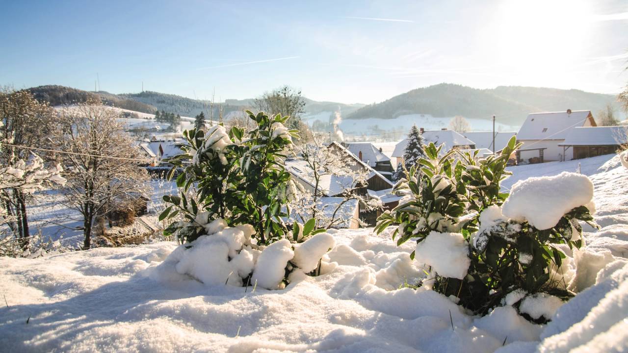 Time Lapse – Wintermorgen