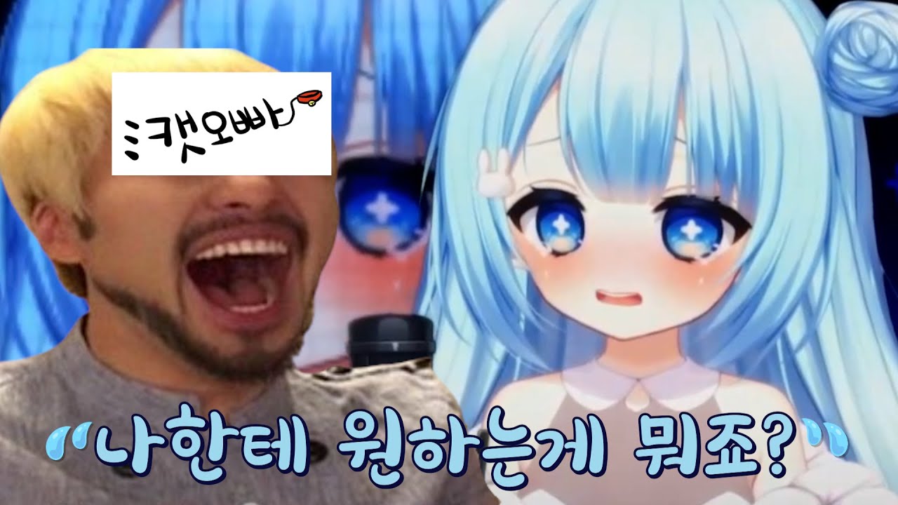 묭님은 이제 제 껍니다