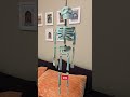 Woman honours sister's wishes to have bones made into wind chime