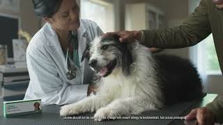 Librela™—Doggy Play Pals :30 TV Commercial by Zoetis Petcare 7,791 views 2 months ago 31 seconds