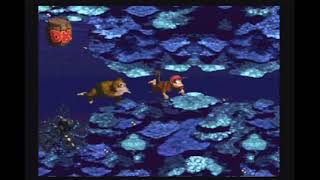 【スーパードンキーコング 1】ドン寝 17