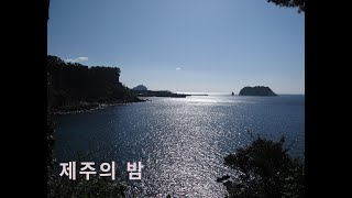 제주의밤 영상