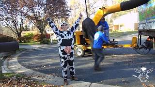 MowCow Leaf Removal Video of Our Powerful Leaf Blower and Vacuum Service