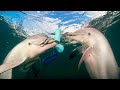 James Nestor: New Approaches to Cracking the Communication of Whales and Dolphins | Bioneers 2016