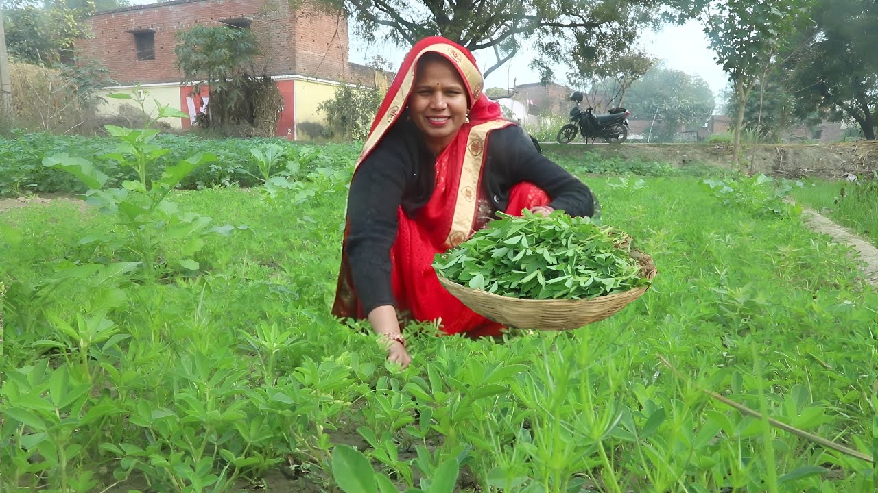 खेत की ताजी हरी मैथी की खस्ता पूरी एक बार मेरे तरीके से बनाऐ तो उंगलिया चाटते रह जाऐ | Methi ki Puri
