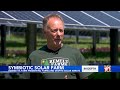 Farm grows chrysanthemums between solar panels, preserving family agricultural land