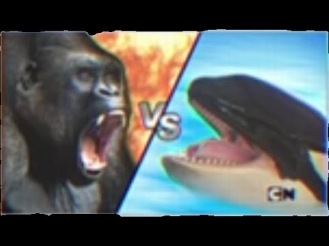 Gorilla Vs Killer Whale Youtube 