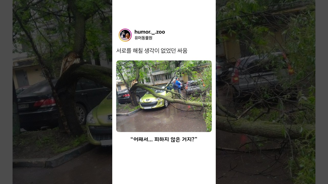 서로를 해칠 생각이 없었던 싸움3