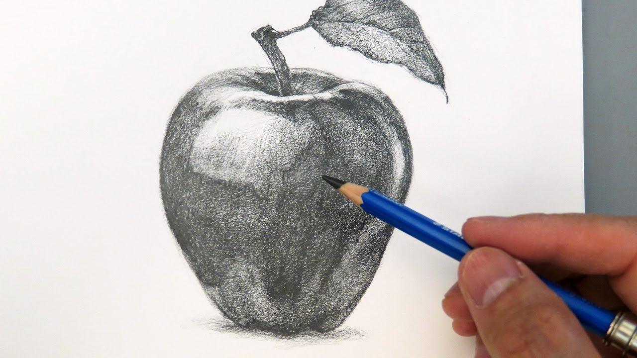 Top 167+ apple shading drawing