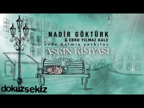Nadir Göktürk -