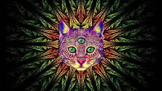 Bionic Pulse - Pieces Of Mind [Psychedelic Visualizer]