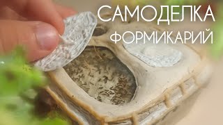 самодельный Формикарий из гипса.  #формикарий #муравьи #формик