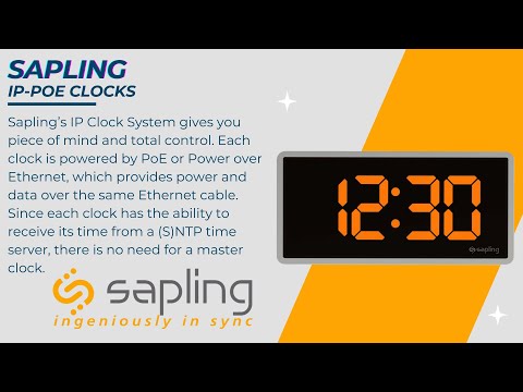 SAPLING | IP-POE CLOCKS