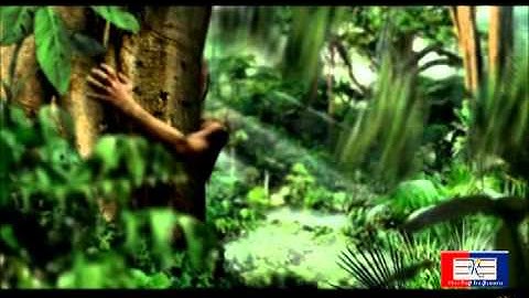 Film Compositing by Relish Infosoft Team