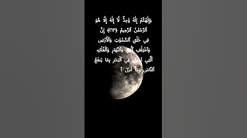 #سورة_البقرة #yasseraldossary #تلاوة_سورة_البقرة #راحة_نفسية #سورة_البقرة_كاملة #duet #اكسبلور