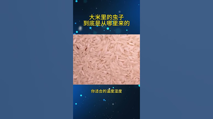 大米里的虫子到底是哪里来的？#科普 #科普知识 #冷知识 #大米 #虫