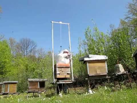 Video: Kako funkcionira protočna pčelinja košnica?