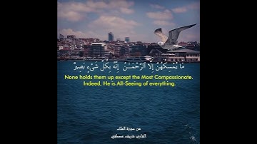 قراءة بصوت قارئ شريف مصطفى