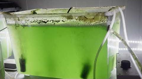 Phos4You: Recovery of phosphorus at small-scale wastewater treatment plant