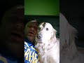 Blázinec 5. díl - Zlatovláska, na útěku ze sklepa do Prahy.