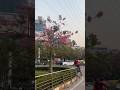 Mini vlog - Short Trip to Ambience Mall #minivlog #vlog #gurgaon #vlogger #travelvlog