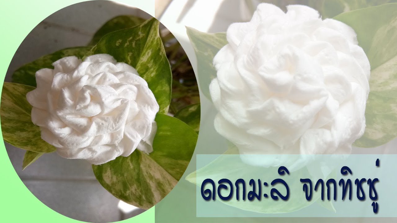 สอนพับดอกมะลิ จากกระดาษทิชชู่  (วันแม่) Paper Jasmine