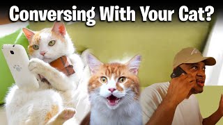 Conversing With Your Cat? Cool Cats The D.e.v.