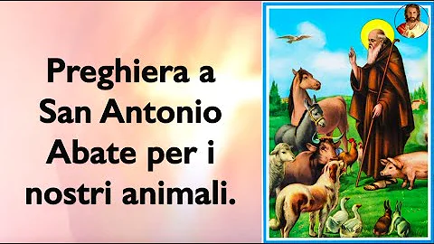 Qual'è il Santo degli animali?