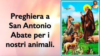 Preghiera a San Antonio Abate per i nostri animali.