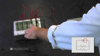 Setting Up A Parallel Circuit