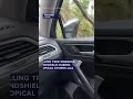 Falling tree smashes windshield during tropical storm Lala