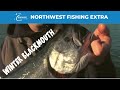 Winter Blackmouth Fishing - Extended Cut