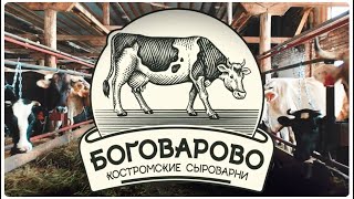 Боговарово. Костромские Сыроварни