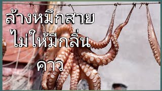 ทำความสะอาดหมึกสายให้ไม่มีกลิ่นคาว (เคล็ดลับ)