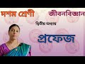 প্রফেজ | Class 10 Life Science Chapter 2 Prophase WBBSE