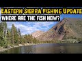 Eastern Sierra Fishing Update | Summer 2020